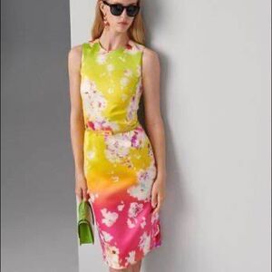 Ralph Laure Pre-Spring ‘20 Multi Tucson Ombré Floral Print Belted Cocktail Dress